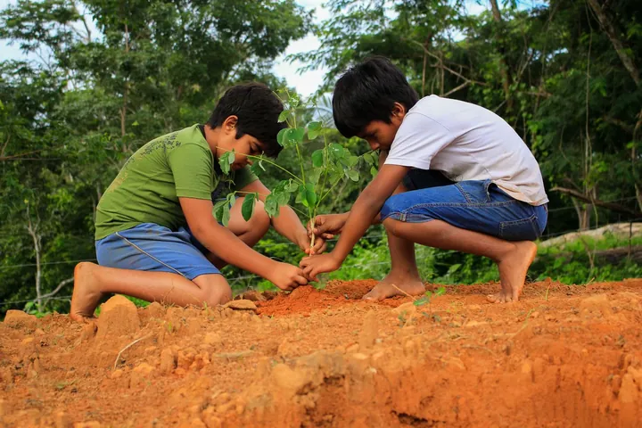 Children planting a sapling together